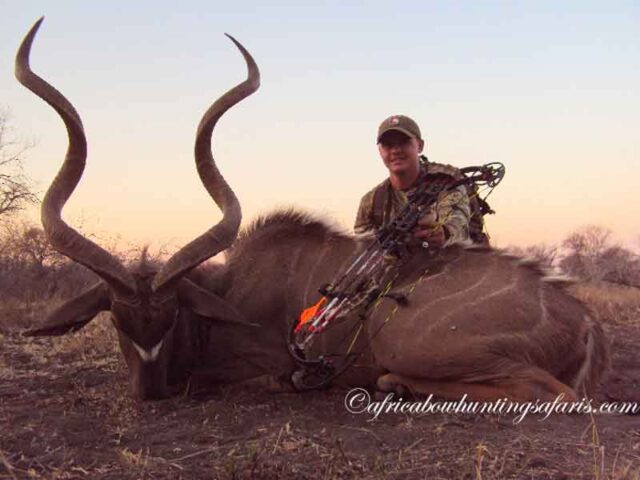 Affordable bow hunting kudu packages South Africa