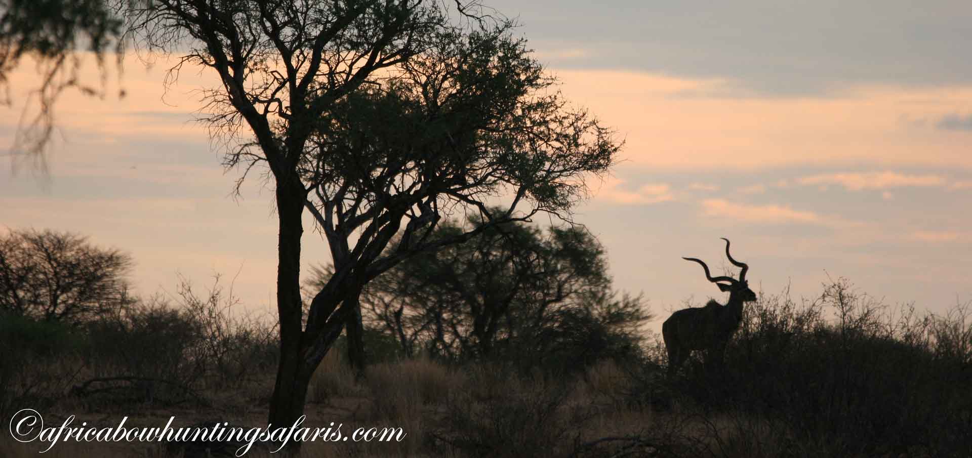 Best time of year to bow hunt kudu
