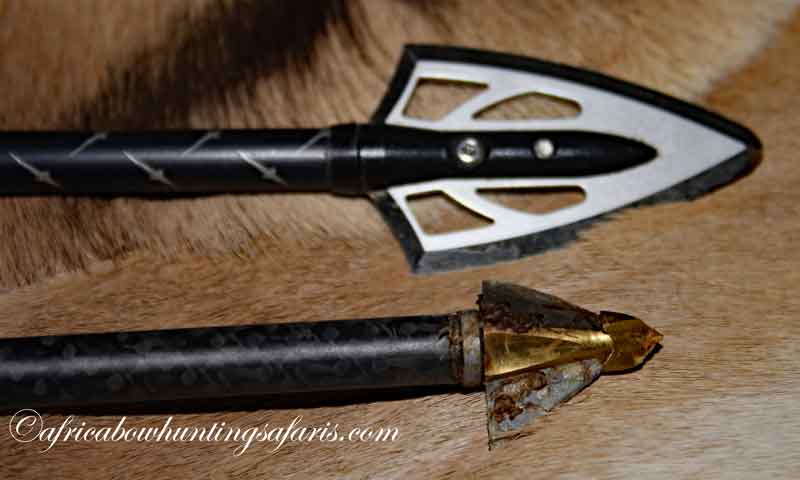 Bow hunting broad heads Africa bow hunting safari
