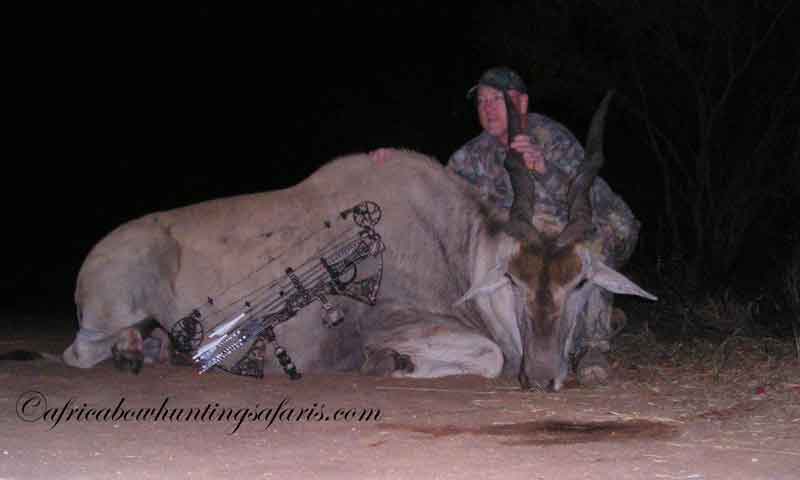 Bow hunting eland draw weight