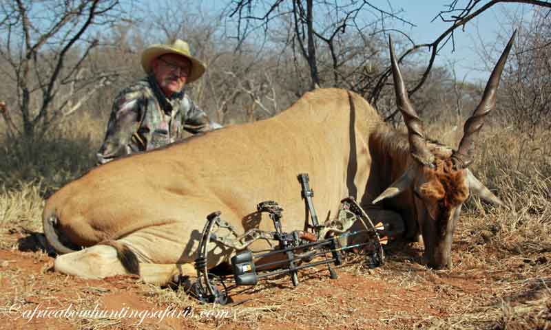 Bow hunting eland South Africa prices