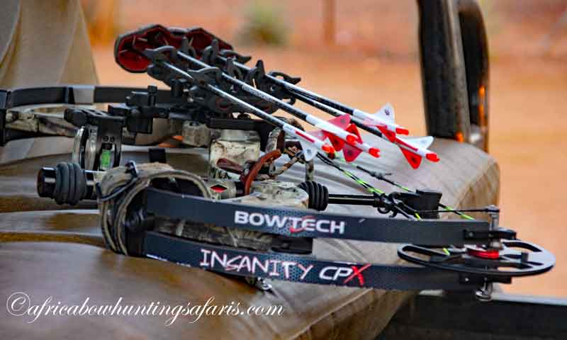 Bow hunting equipment Africa bow hunting safari