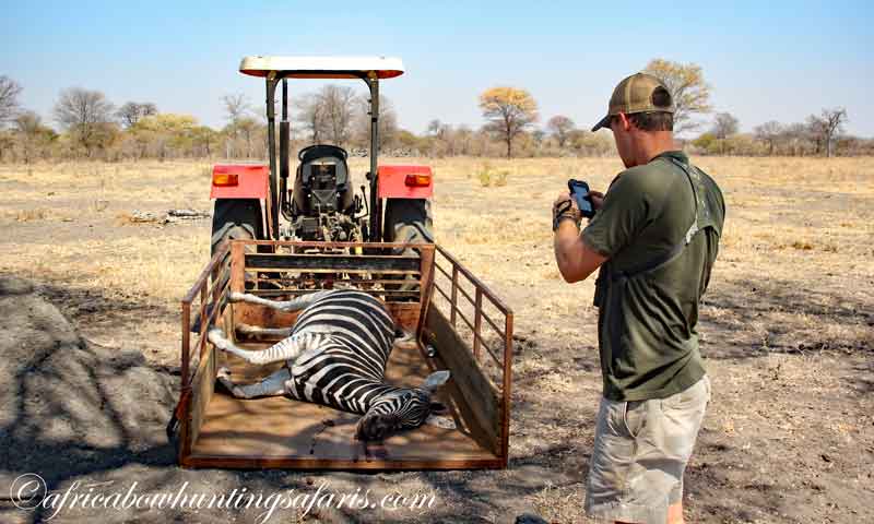 Bow hunting South Africa trophy treatment