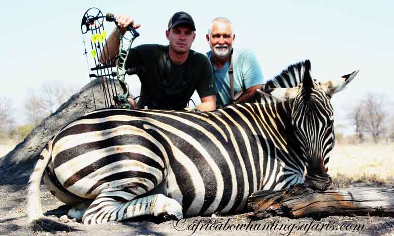 Father and son bow hunting Africa package zebra