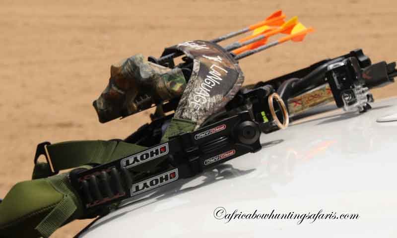 Best bow for bow hunting Africa