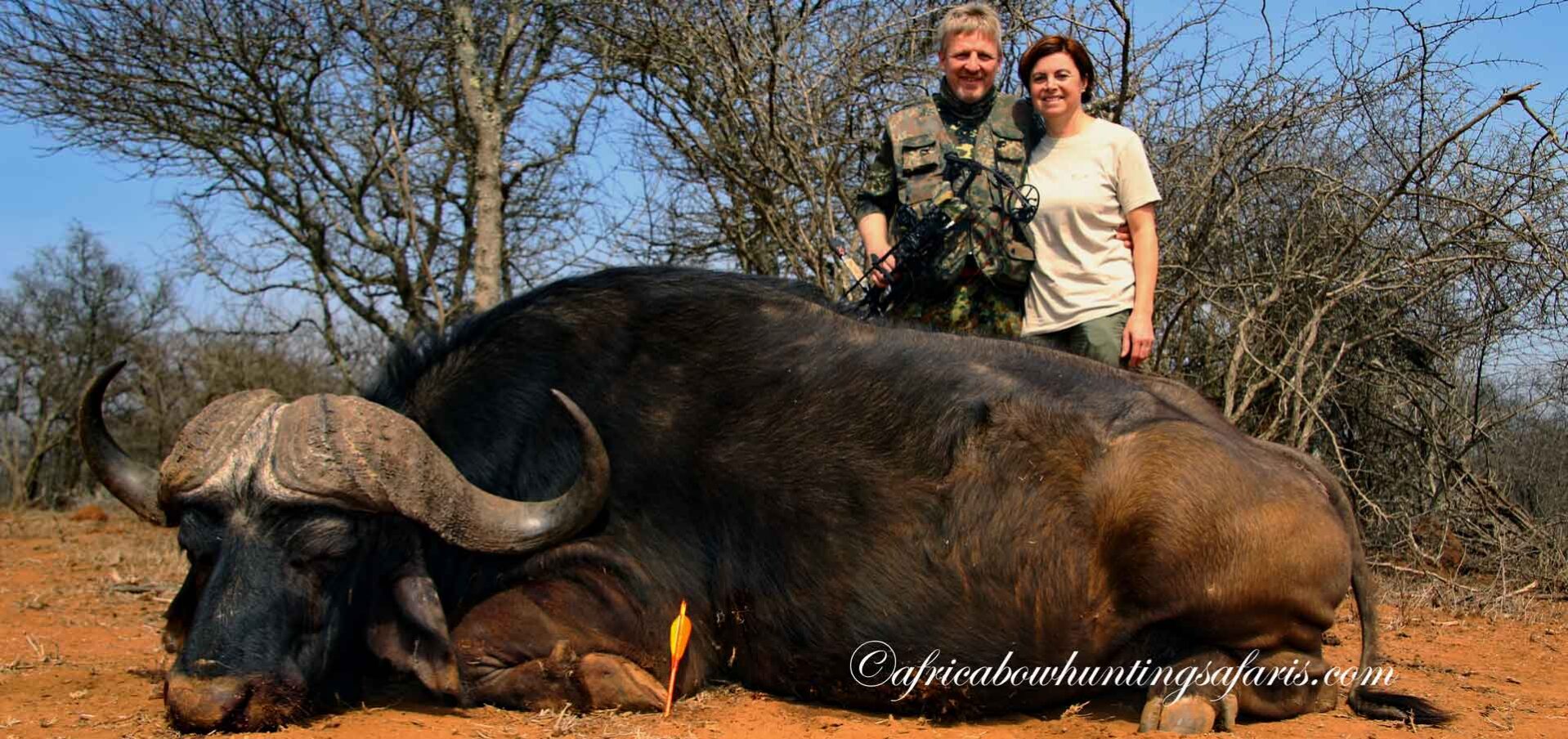 Bow hunt Cape buffalo draw weight