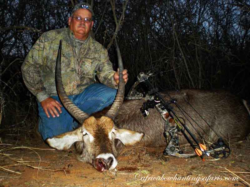 Cost of bow hunting waterbuck South Africa