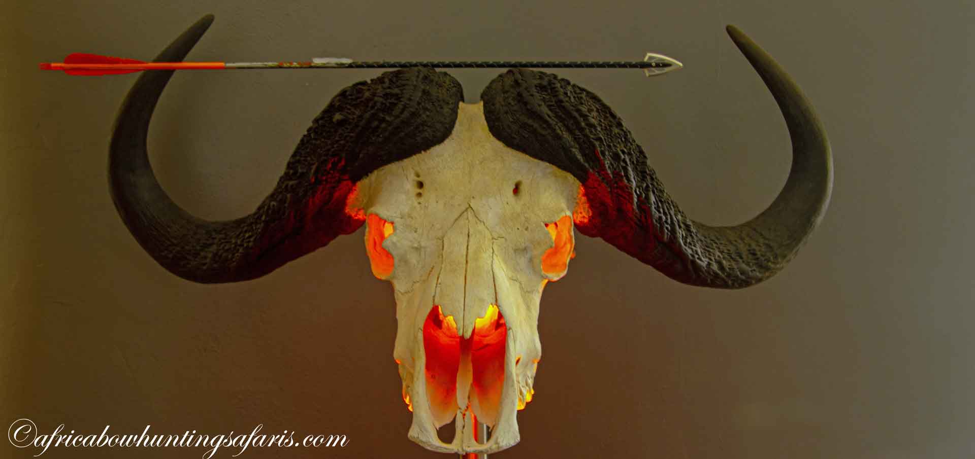 Draw weight African dangerous game