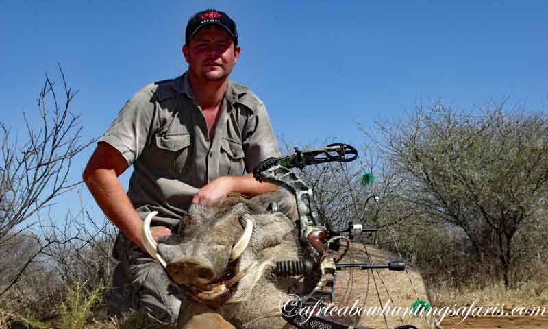 Draw weight bow hunting warthog Africa