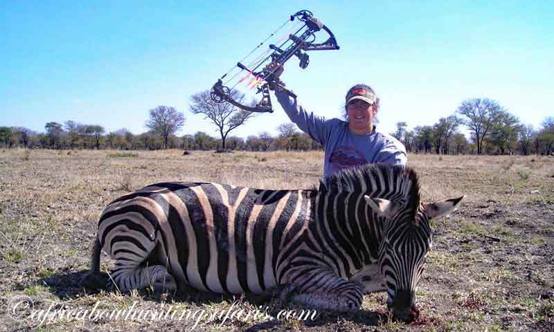 Draw weight bow hunting zebra South Africa