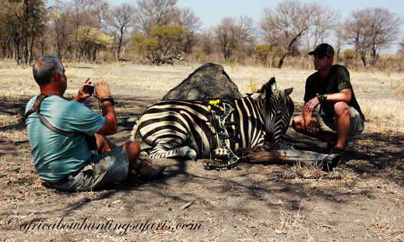 KE bow hunting zebra South Africa