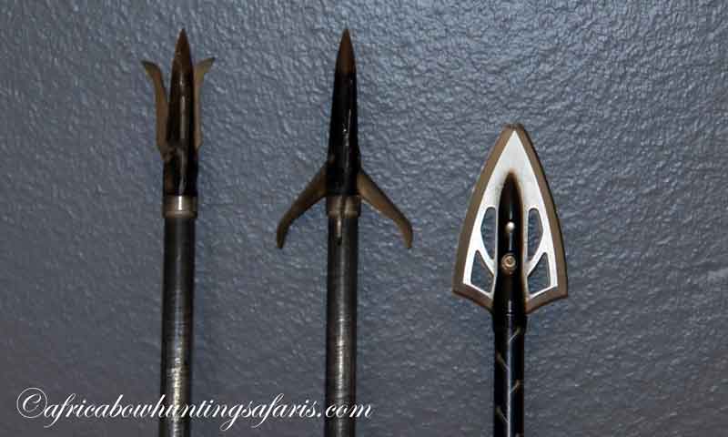 Kinetic energy and different broad heads to hunt Africa