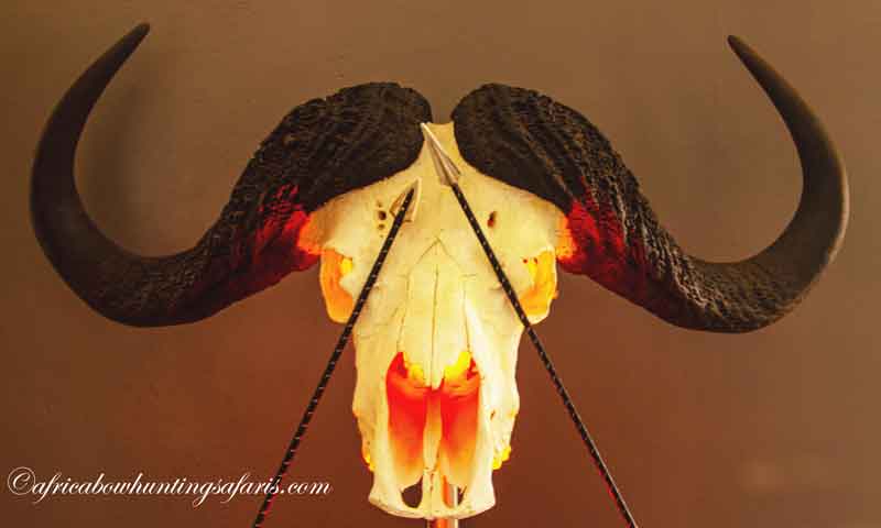 Kinetic energy KE and African bow hunting