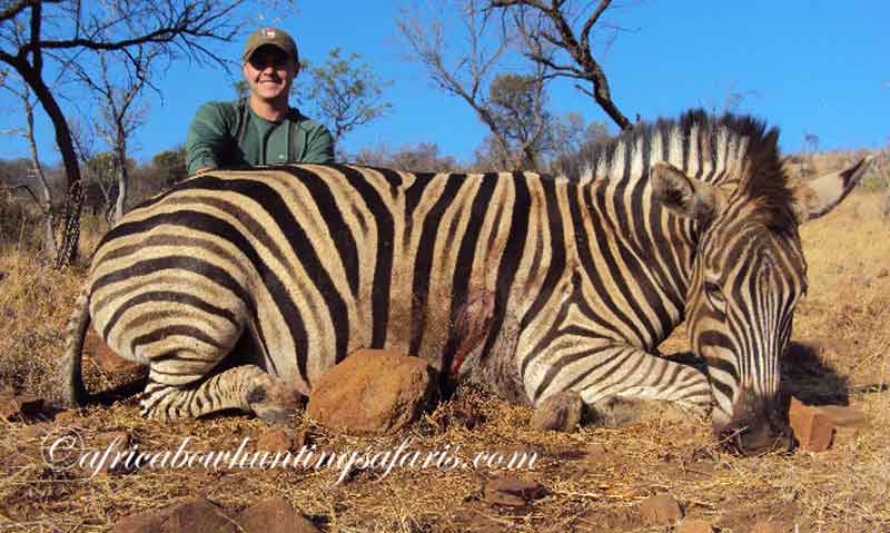 Zebra bow hunting equipment advice