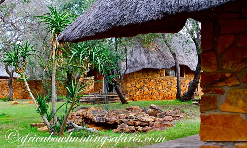 Bow hunting accommodation Limpopo Province
