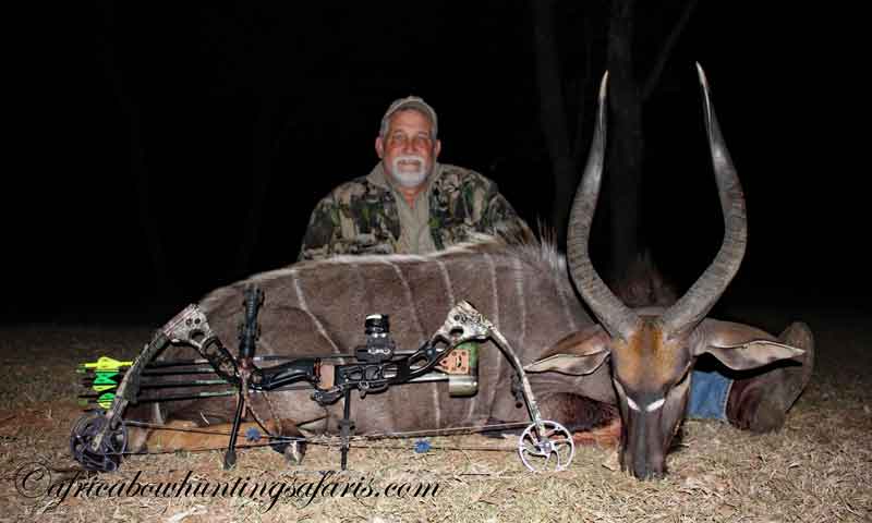 Broad heads bow hunting nyala package South Africa