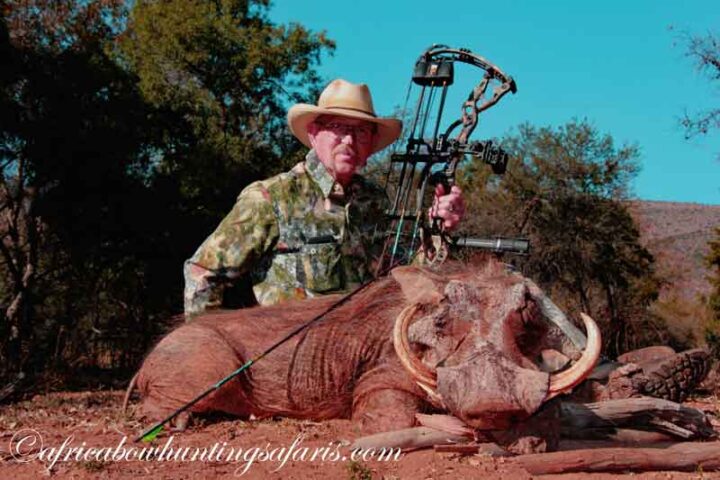 Cost of warthog in your Africa bow hunting safaris