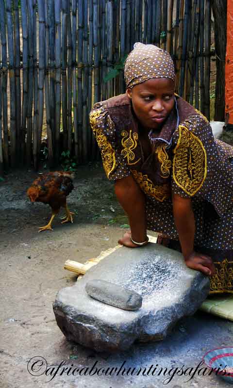 Historical background and overview South Africa