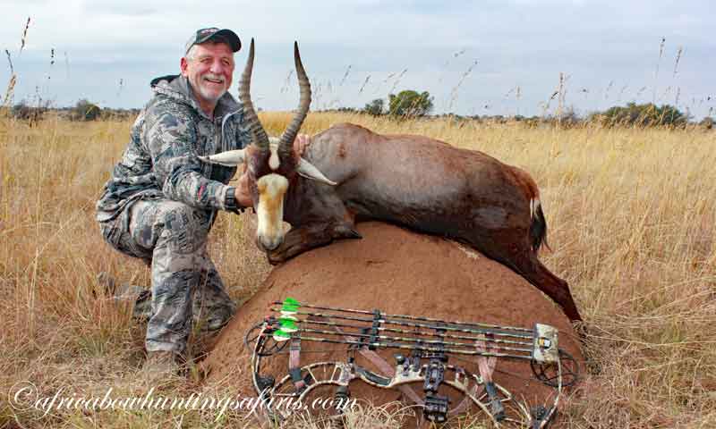 Include blesbok in your Africa bow hunting safaris