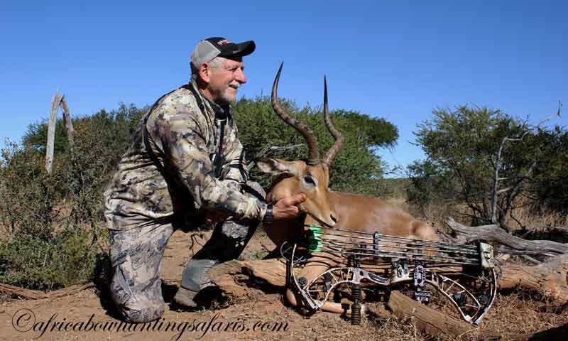 Include impala in your Africa bow hunting safaris