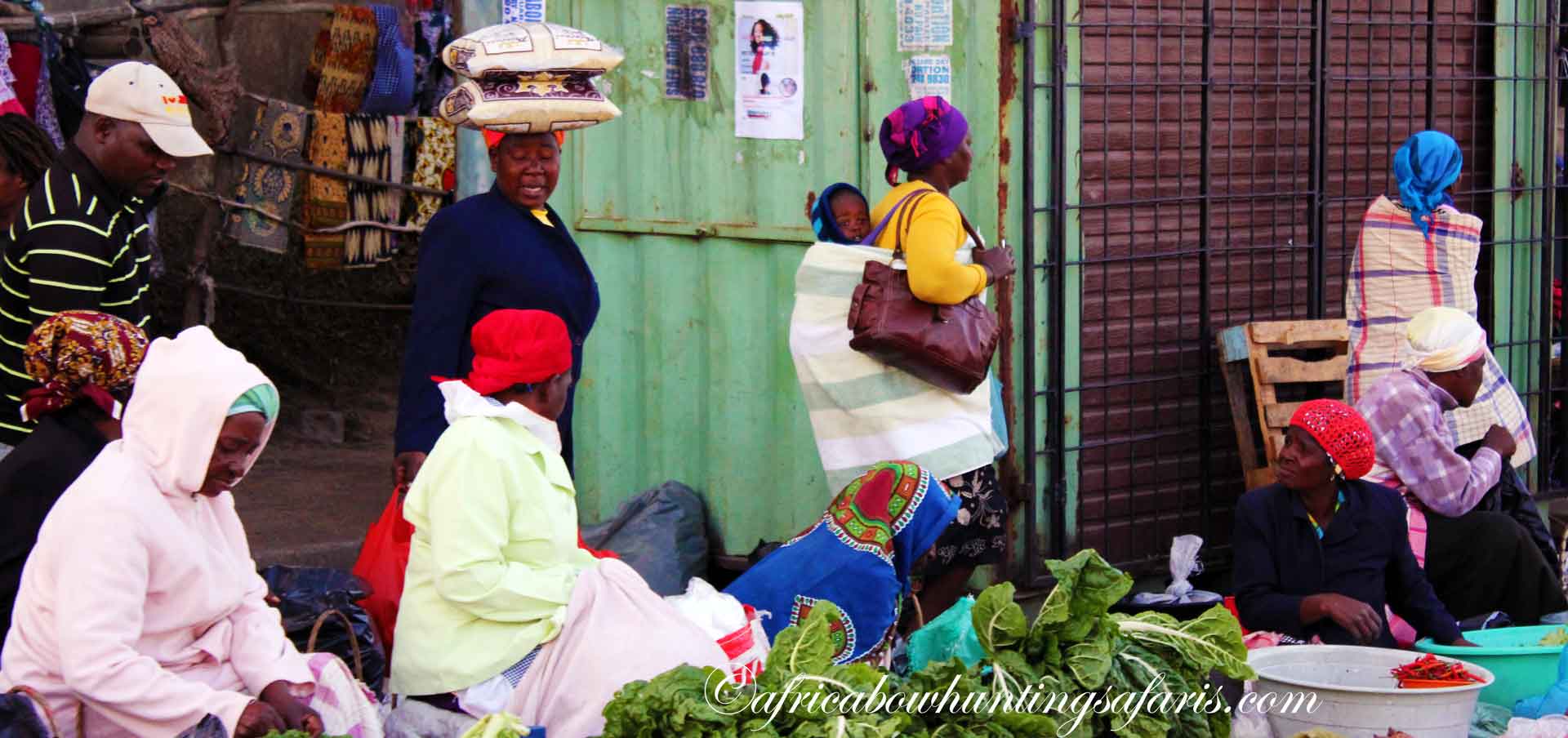 South Africa a vibrant tapestry of culture nature and adventure
