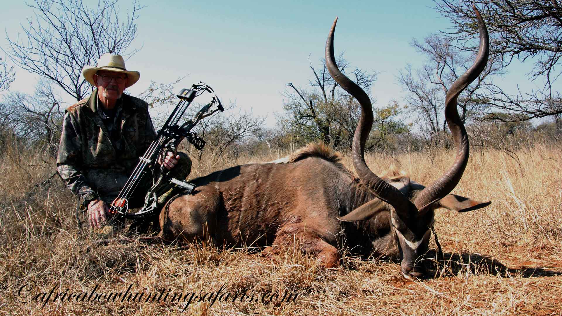 Bow hunter posing with a magnificent greater kudu harvested from a ground blind in Limpopo, South Africa