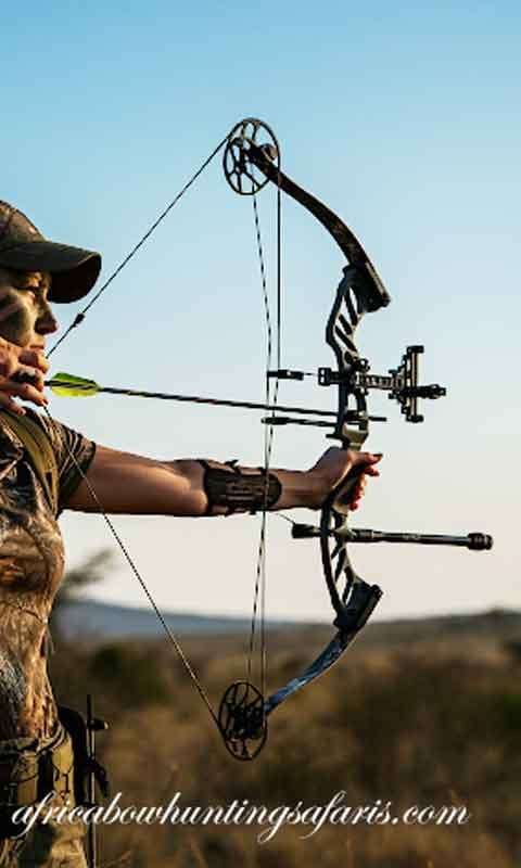 Best bow hunting concessions South Africa